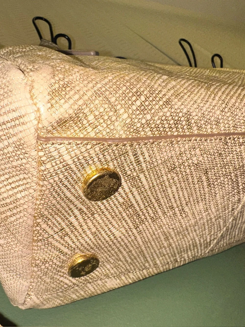 Fossil material genuine
